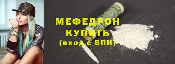 индика Инсар