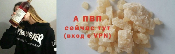 индика Инсар