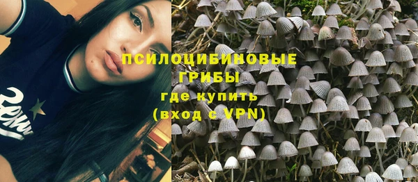 герыч Зерноград