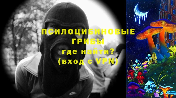 индика Инсар
