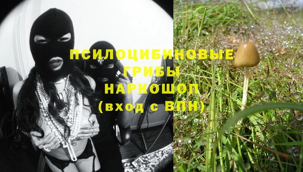 шишки Иннополис